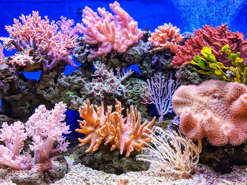 Ocean Depths